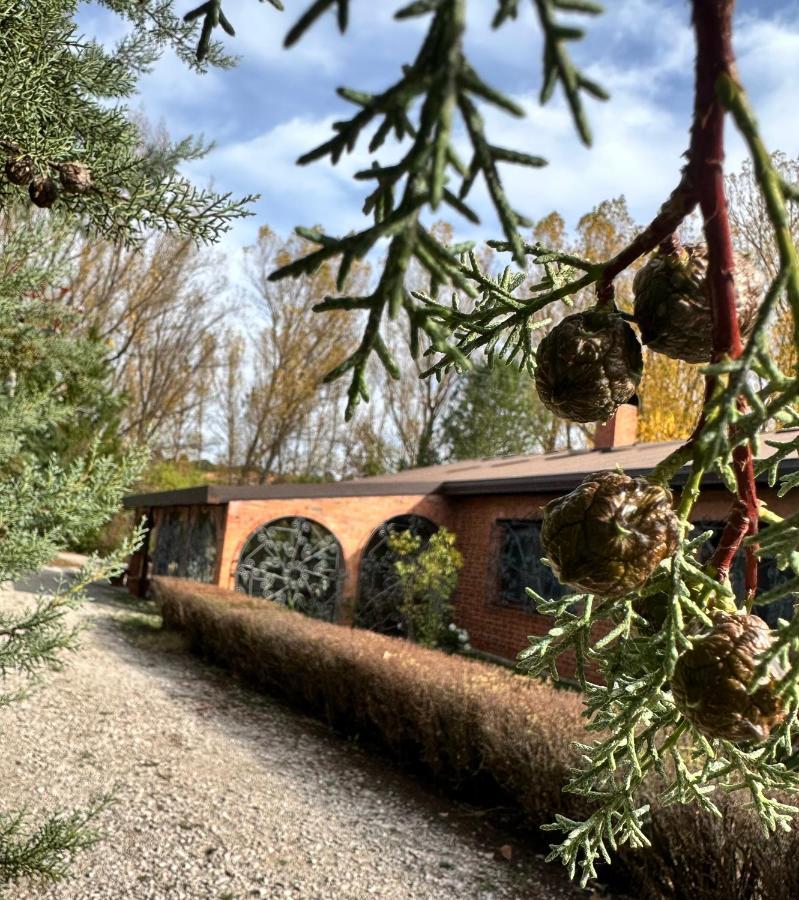 Finca Paraiso Rural エル・ブルゴ・デ・オスマ エクステリア 写真