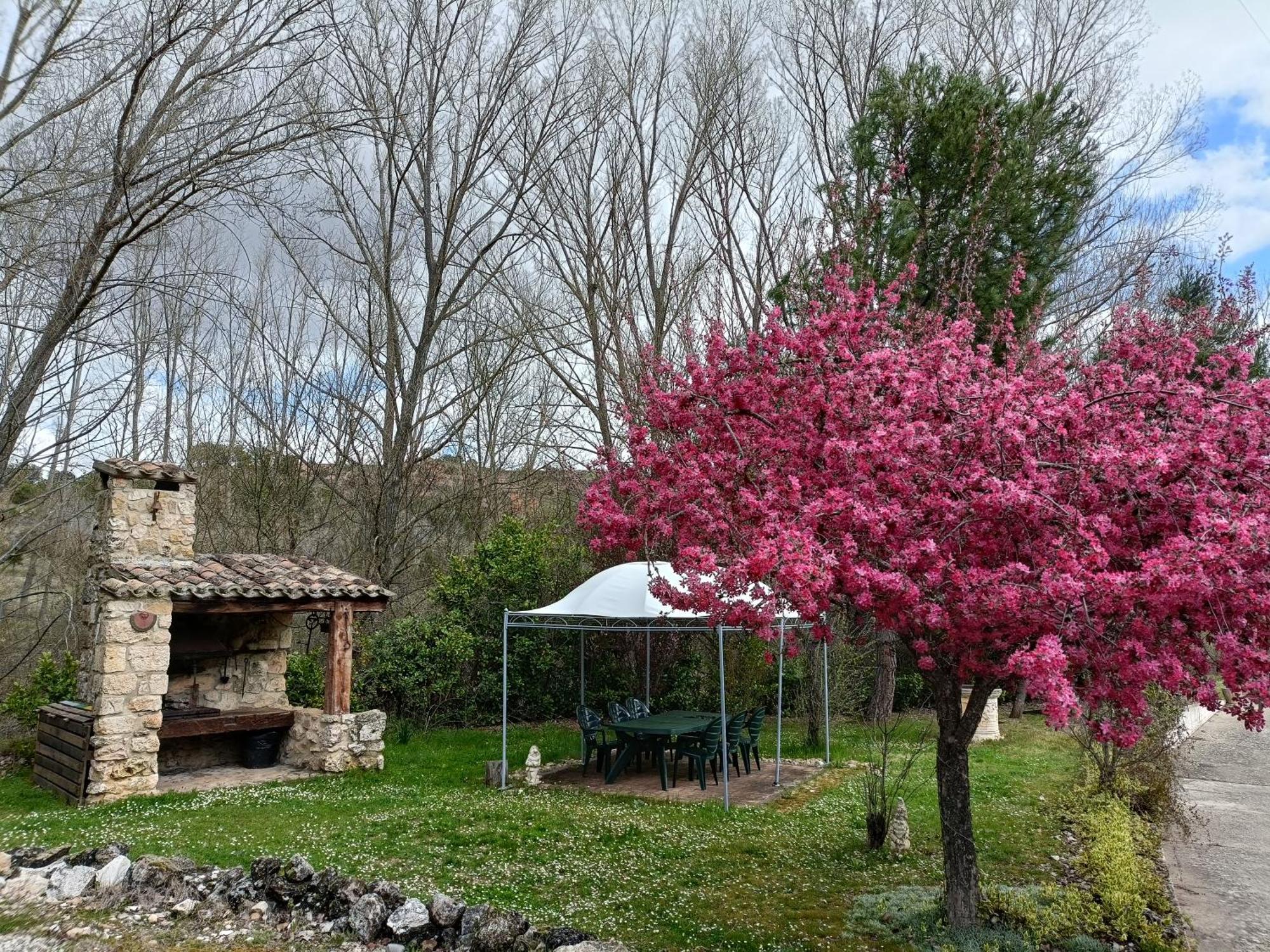 Finca Paraiso Rural エル・ブルゴ・デ・オスマ エクステリア 写真